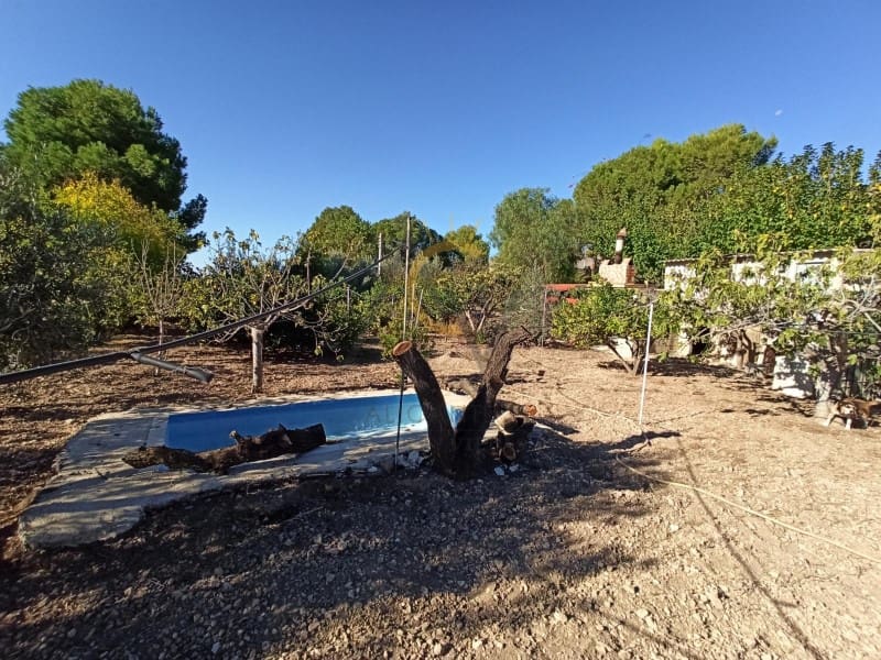 5 sypialnia Finka/Dom wiejski na sprzedaż w Hondon de las Nieves z basenem - 245 000 € (Ref: 8612806)