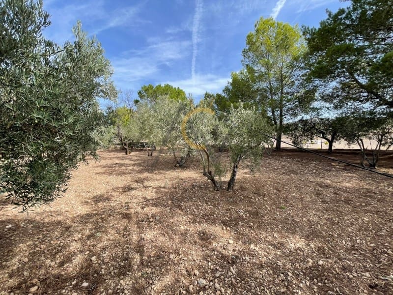 5 sypialnia Finka/Dom wiejski na sprzedaż w Hondon de las Nieves z basenem - 245 000 € (Ref: 8612806)