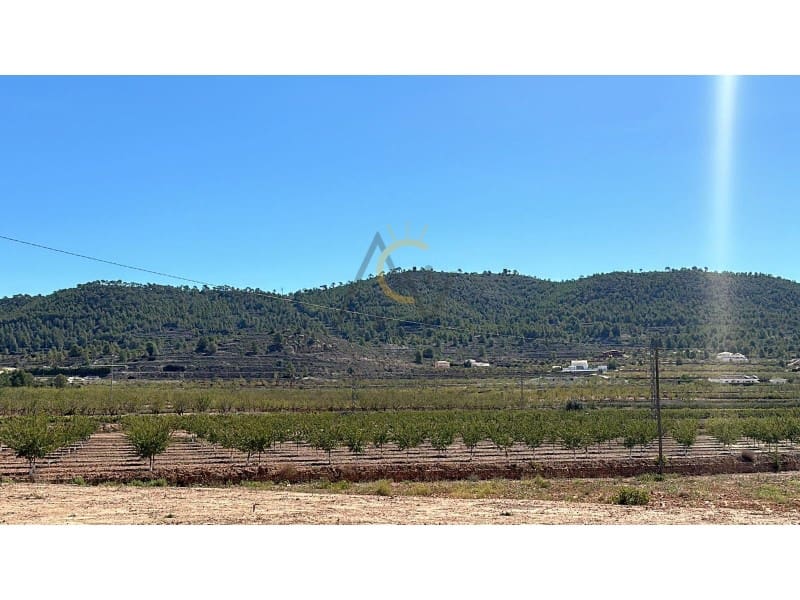 2 soveværelse Finca/Landehus til salg i Pinoso - € 199.000 (Ref: 8823060)