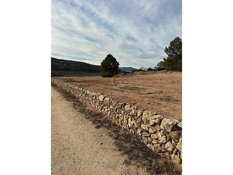 2 soveværelse Finca/Landehus til salg i Pinoso - € 199.000 (Ref: 8823060)