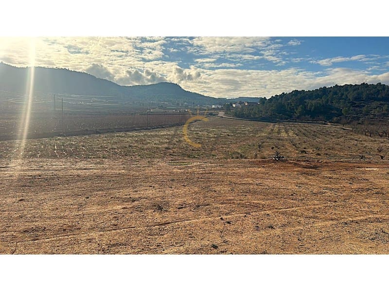 2 soveværelse Finca/Landehus til salg i Pinoso - € 199.000 (Ref: 8823060)