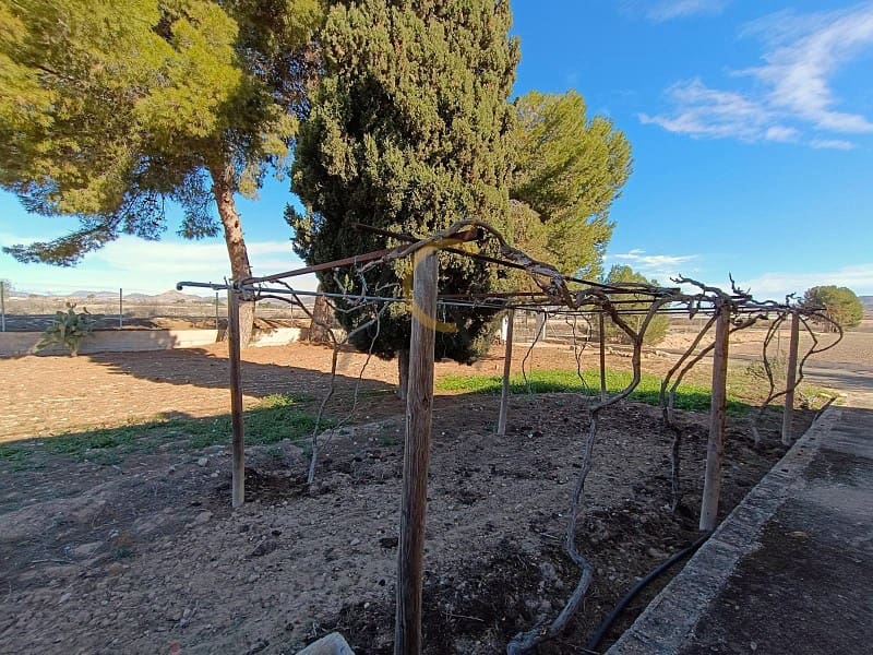 4 sypialnia Finka/Dom wiejski na sprzedaż w Aspe z basenem garażem - 395 000 € (Ref: 8909626)