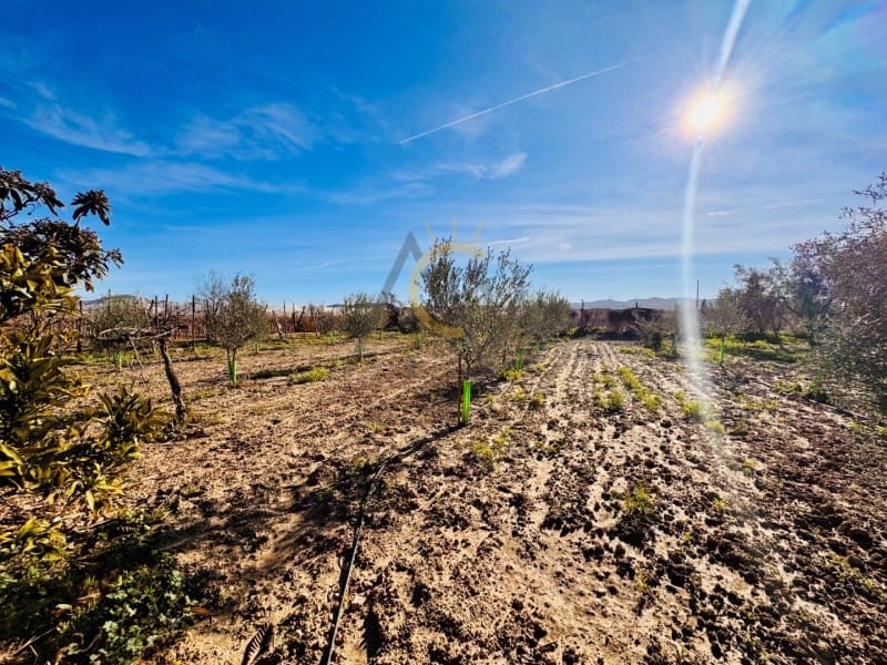 4 soveværelse Finca/Landehus til salg i Novelda med swimmingpool - € 150.000 (Ref: 9502468)