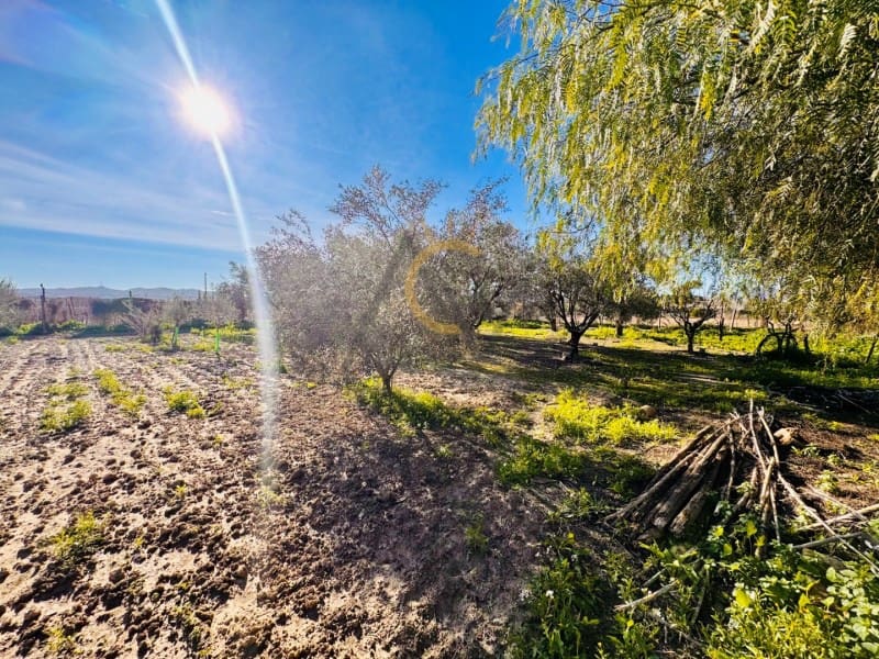 4 soveværelse Finca/Landehus til salg i Novelda med swimmingpool - € 150.000 (Ref: 9502468)