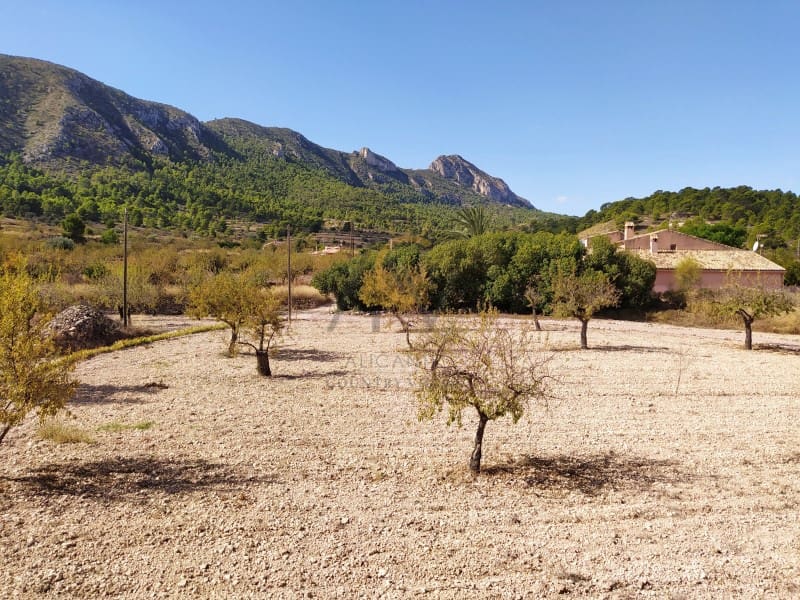 5 makuuhuone Huvila myytävänä paikassa La Romana mukana 
autotalli - 269 990 € (Ref: 9555983)