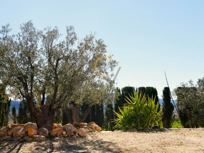 4 sypialnia Finka/Dom wiejski na sprzedaż w Pinoso - 195 000 € (Ref: 9561934)