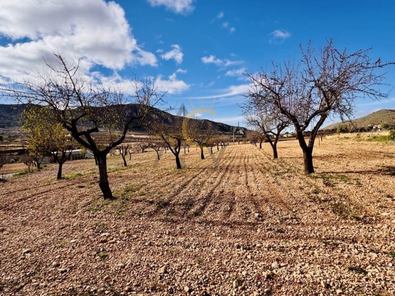 4 slaapkamer Villa te koop in La Romana met garage - € 230.000 (Ref: 9674094)