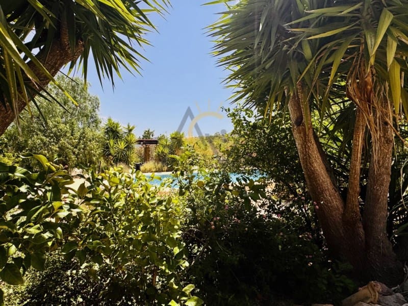 5 quarto Quinta/Casa Rural para venda em La Romana - 339 995 € (Ref: 9915971)