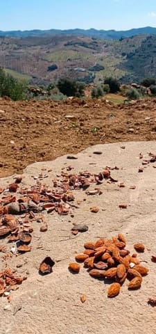 Terreno Não Urbanizado para venda em Villanueva de la Concepcion - 65 000 € (Ref: 10153896)