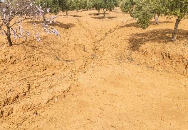 Terreno Não Urbanizado para venda em Villanueva de la Concepcion - 65 000 € (Ref: 10153896)
