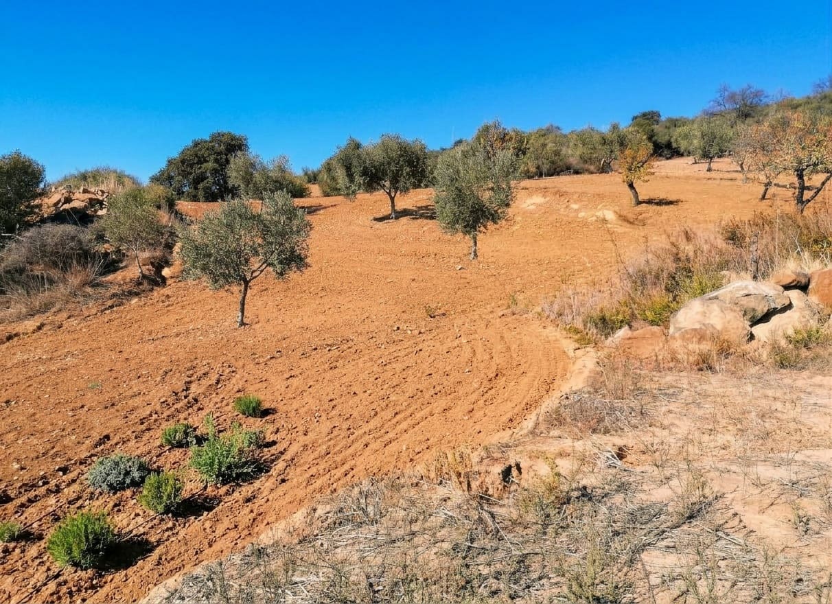 Terreno Não Urbanizado para venda em Villanueva de la Concepcion - 65 000 € (Ref: 10153896)