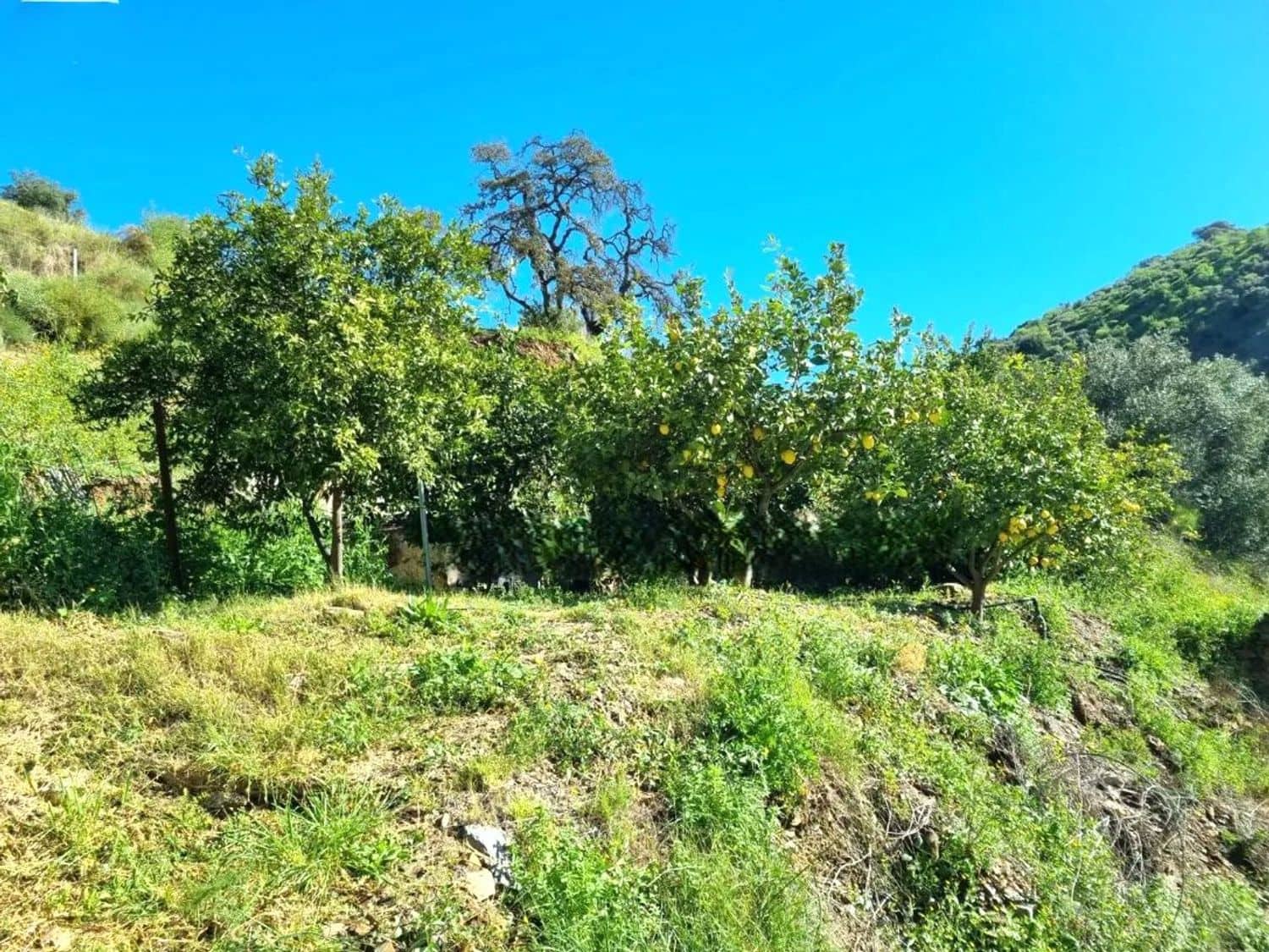 2 quarto Quinta/Casa Rural para venda em Totalan com garagem - 136 000 € (Ref: 9669470)