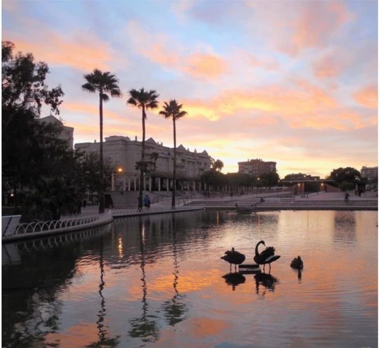 Apartamento de 2 habitaciones en Málaga ciudad en venta con piscina garaje - 395.000 € (Ref: 9669473)