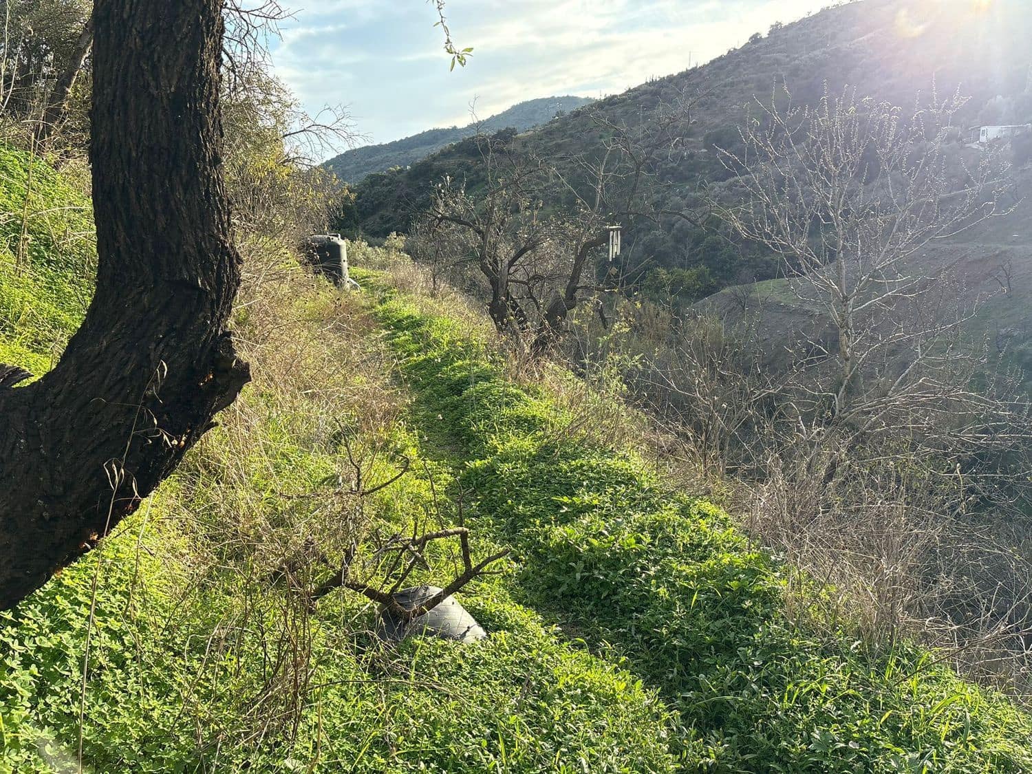 2 quarto Quinta/Casa Rural para venda em Malaga cidade com piscina garagem - 115 000 € (Ref: 9669504)