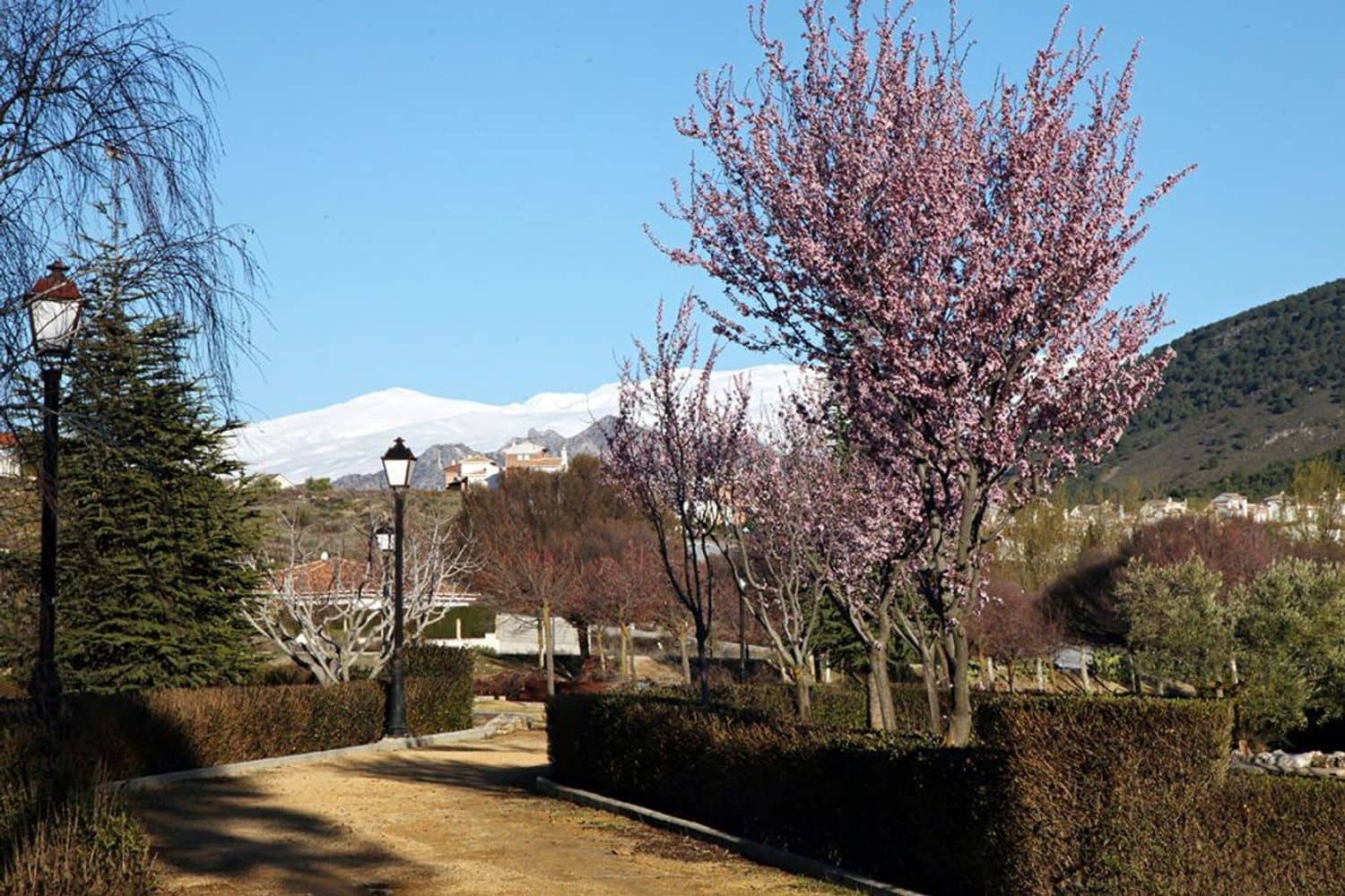 Chalet de 3 habitaciones en Dílar en venta con piscina garaje - 599.000 € (Ref: 9669524)