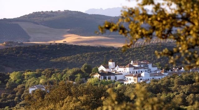 Rakentamaton maa myytävänä paikassa Granada kaupunki - 2 000 000 € (Ref: 9669528)