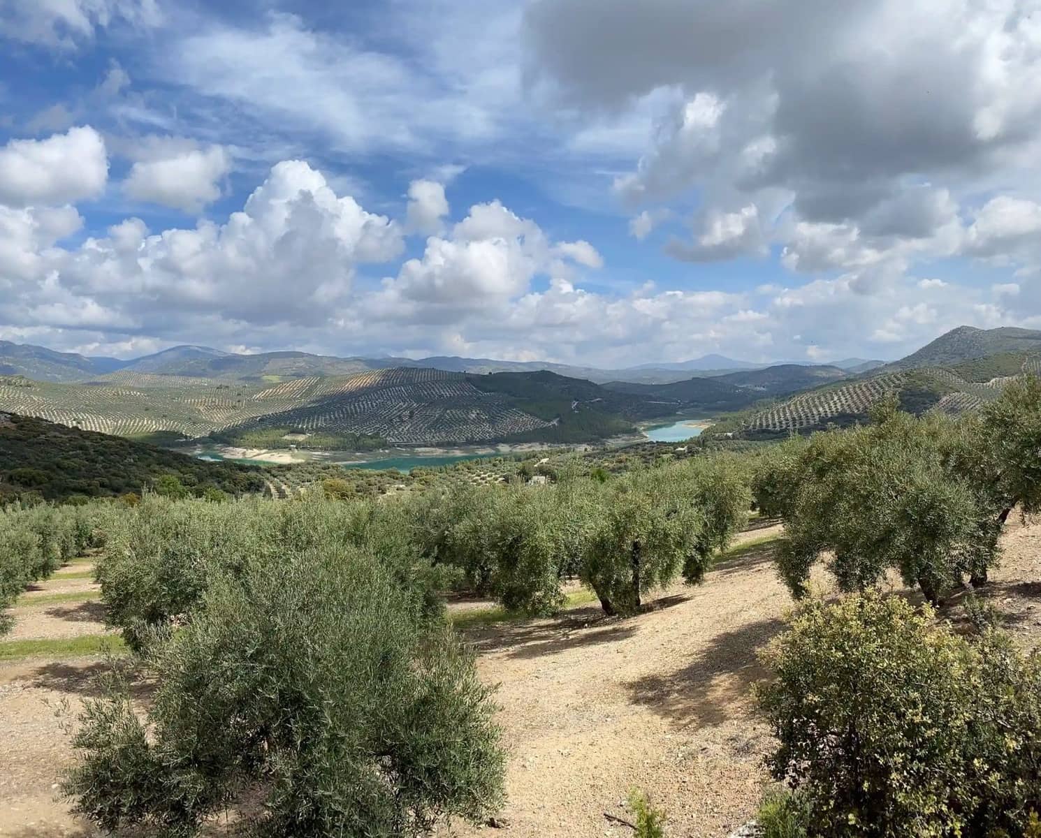 8 bedroom Finca/Country House for sale in Macharaviaya with pool garage - € 2,500,000 (Ref: 9669539)