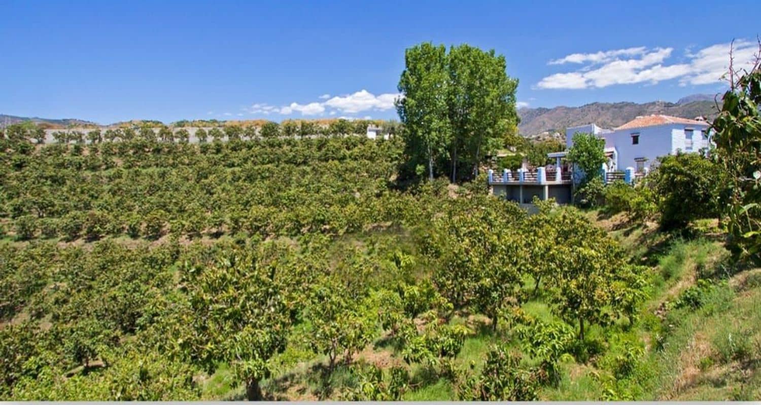 Hotel for sale in Nerja - € 7,000,000 (Ref: 9679518)