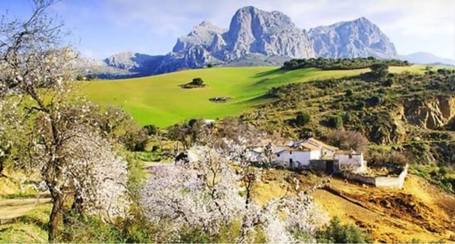 Grond te koop in Riogordo - € 168.000 (Ref: 9704448)