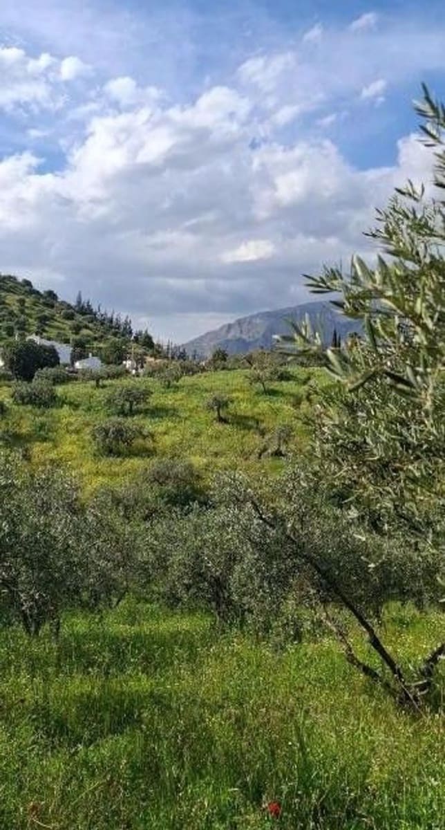 Undeveloped Land for sale in Riogordo - € 168,000 (Ref: 9704448)