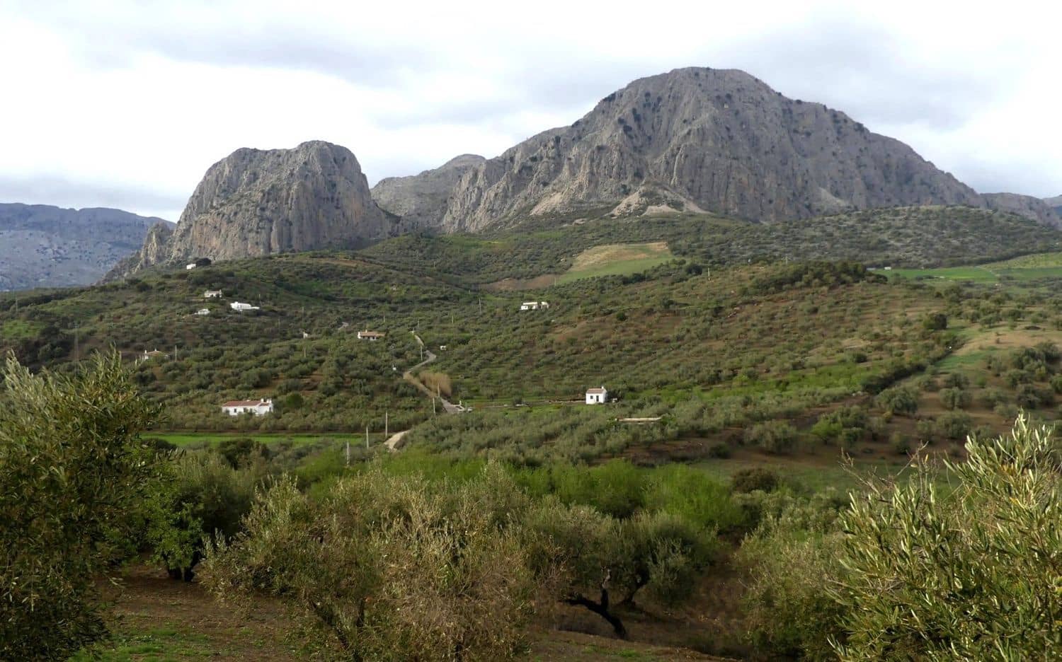 Undeveloped Land for sale in Riogordo - € 168,000 (Ref: 9704448)