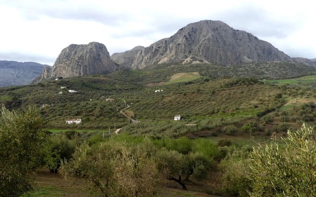 Terreno Não Urbanizado para venda em Riogordo - 168 000 € (Ref: 9704448)