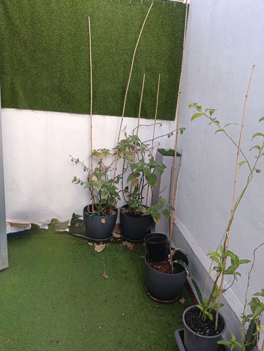 2 camera da letto Appartamento in vendita in Malaga citta con garage - 249.000 € (Rif: 9719528)