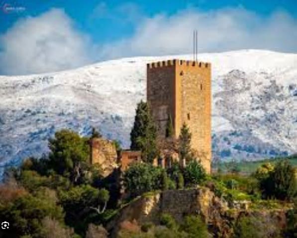 Terreno/Finca Rústica en Vélez-Málaga en venta - 1.050.000 € (Ref: 9747476)