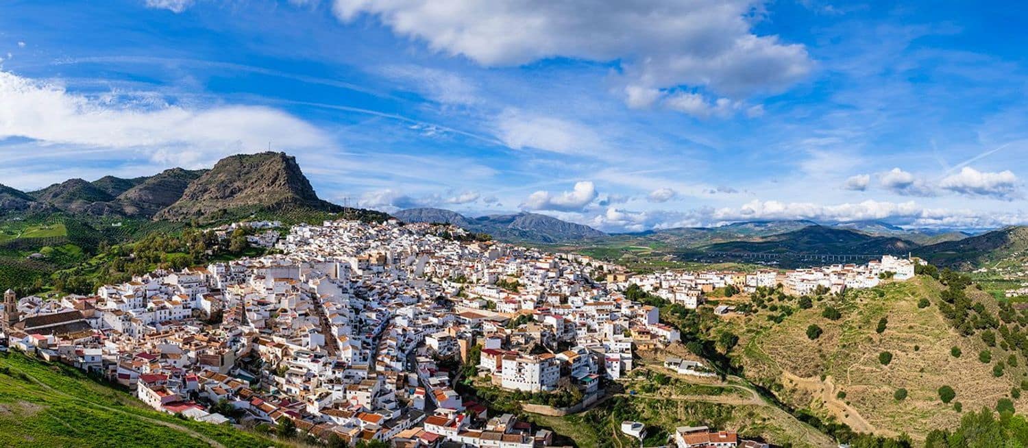 Kommersiell till salu i Alora - 800 000 € (Ref: 9747477)