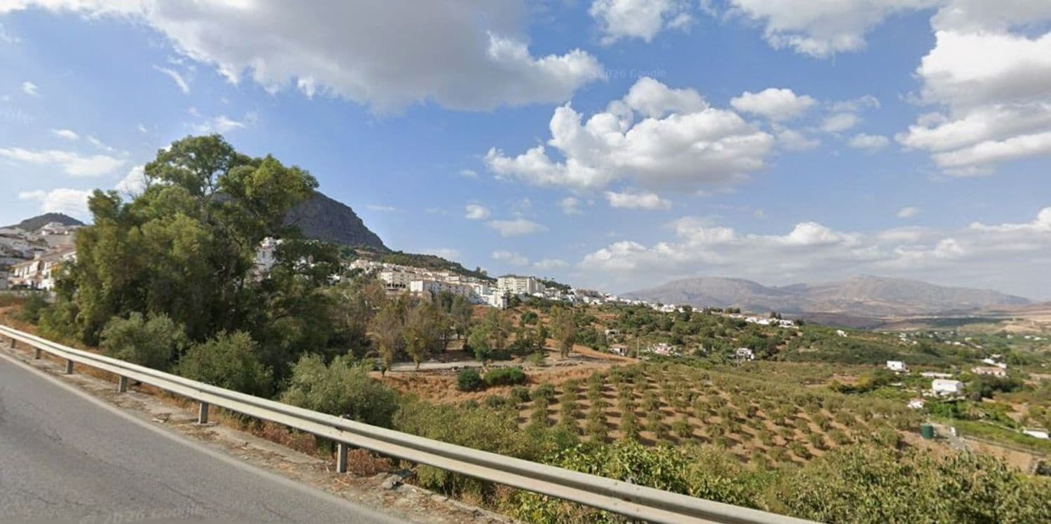 Kommersiell till salu i Alora - 800 000 € (Ref: 9747477)