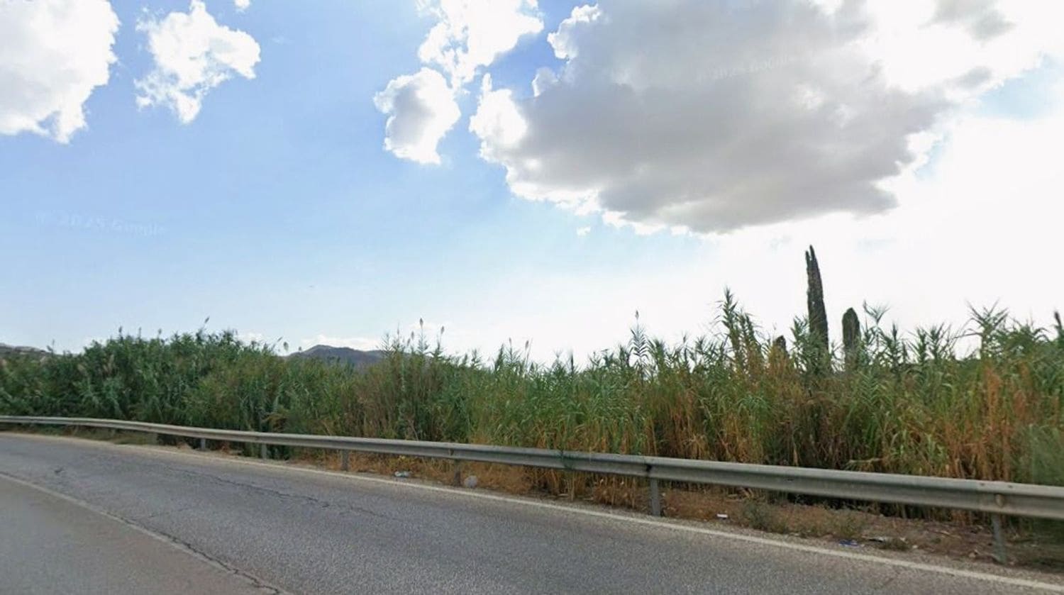 Kommersiell till salu i Alora - 800 000 € (Ref: 9747477)