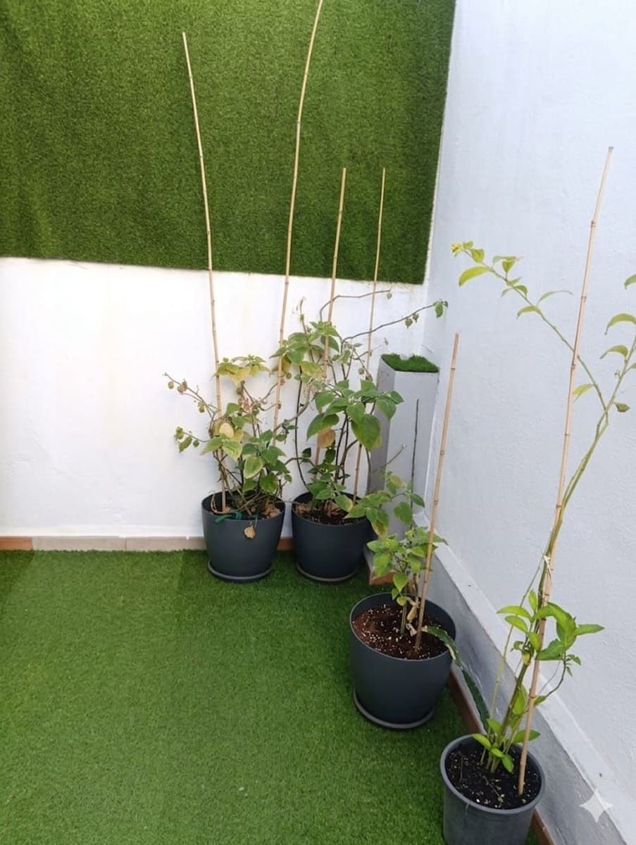 2 soveværelse Byhus til salg i Malaga by med garage - € 249.000 (Ref: 9758363)