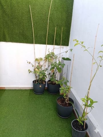 2 soveværelse Byhus til salg i Dos Hermanas, Málaga by med garage - € 249.000 (Ref: 9758363)