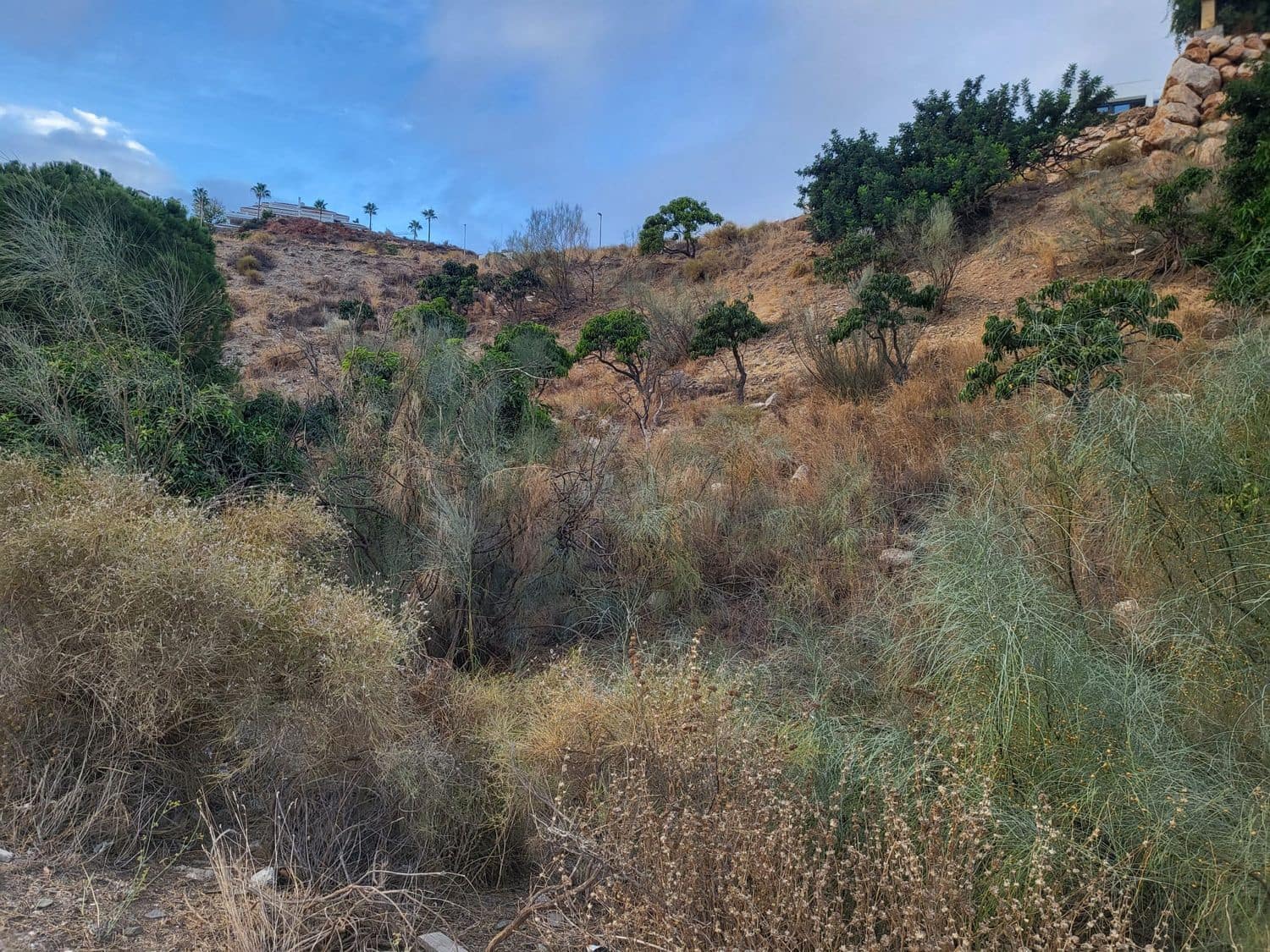 Grond te koop in Rincon de la Victoria - € 230.000 (Ref: 9761595)