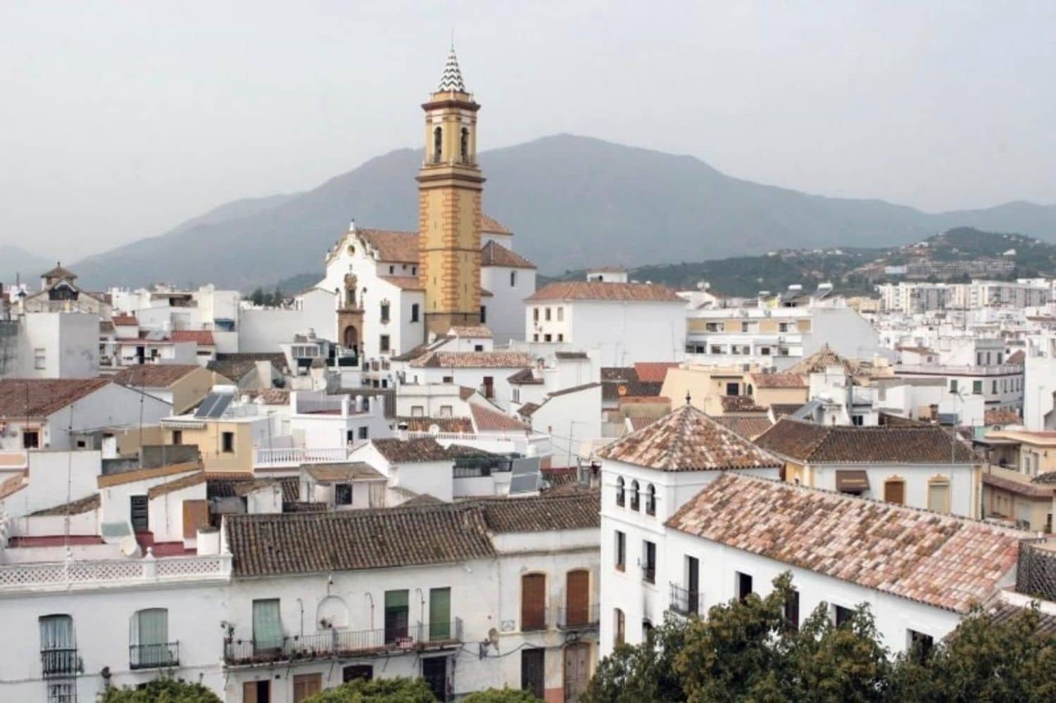 Terre non Aménagée à vendre à Estepona - 1 100 000 € (Ref: 9763466)