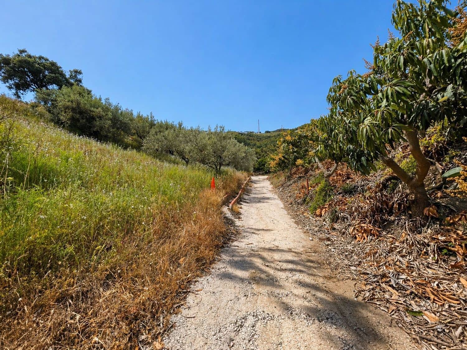 Grunde uden byggetilladelser til salg i Torrox - € 65.000 (Ref: 9796545)