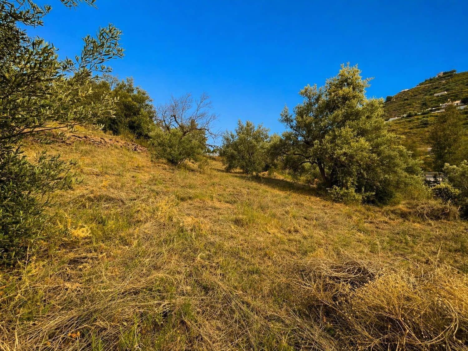 Grunde uden byggetilladelser til salg i Torrox - € 65.000 (Ref: 9796545)