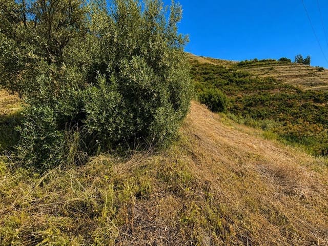 Grunde uden byggetilladelser til salg i Torrox Pueblo, Torrox - € 65.000 (Ref: 9796545)