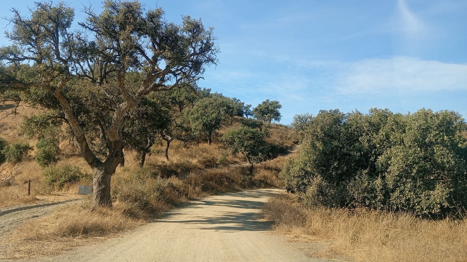 2 bedroom Finca/Country House for rent in Almogia with garage - € 400 (Ref: 9806152)