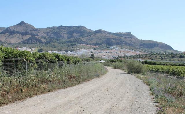 Undeveloped Land for sale in Alora - € 105,000 (Ref: 9919055)