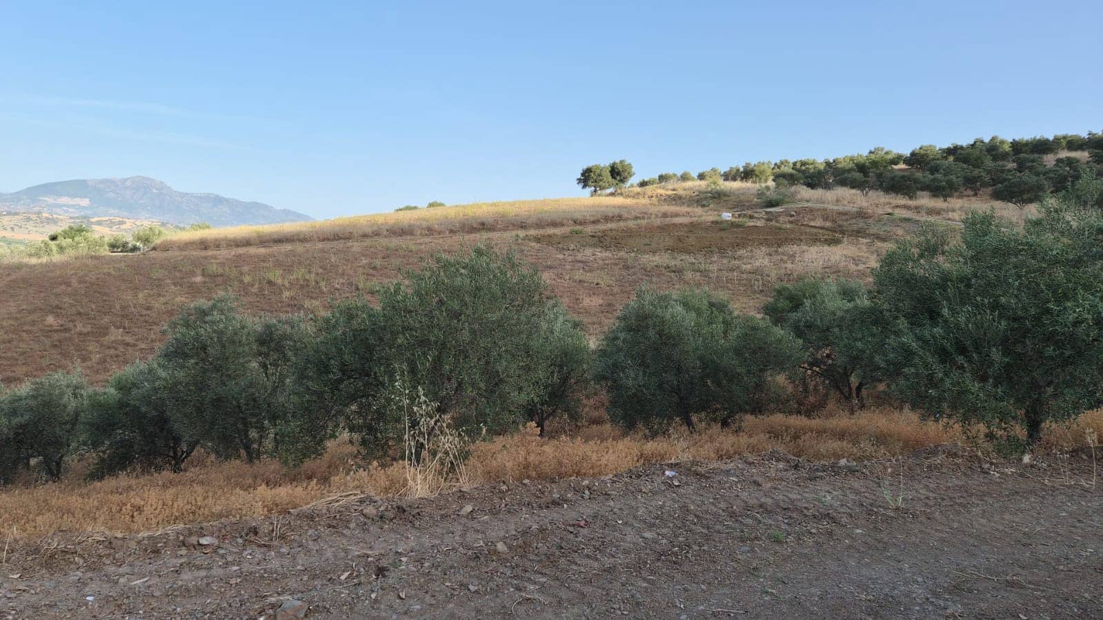 Undeveloped Land for sale in Alora - € 105,000 (Ref: 9919055)