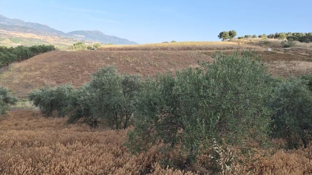 Undeveloped Land for sale in Alora - € 105,000 (Ref: 9919055)