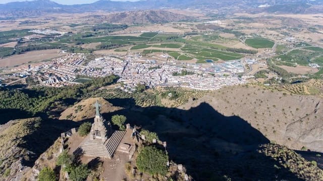 Undeveloped Land for sale in Alora - € 105,000 (Ref: 9919055)