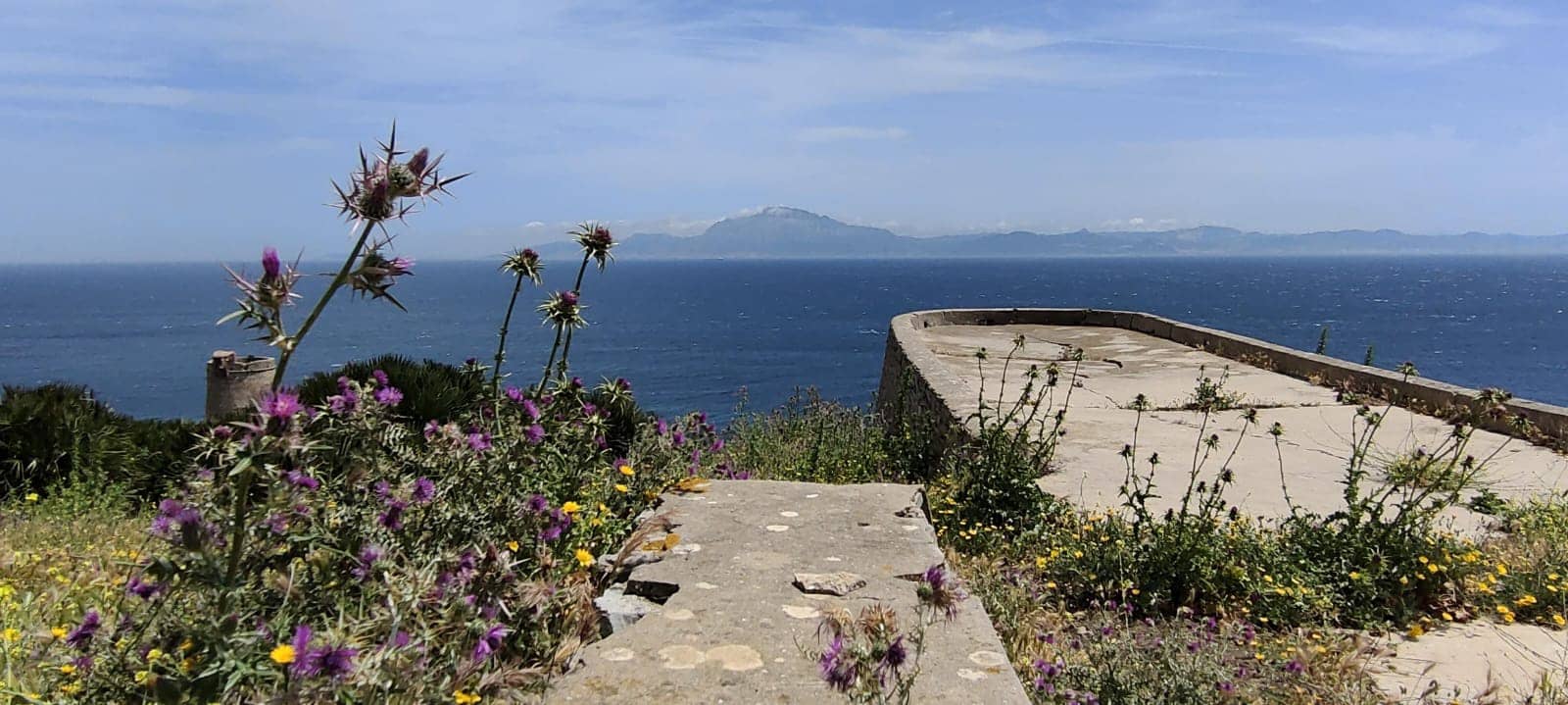 Undeveloped Land for sale in Tarifa - € 600,000 (Ref: 9932372)