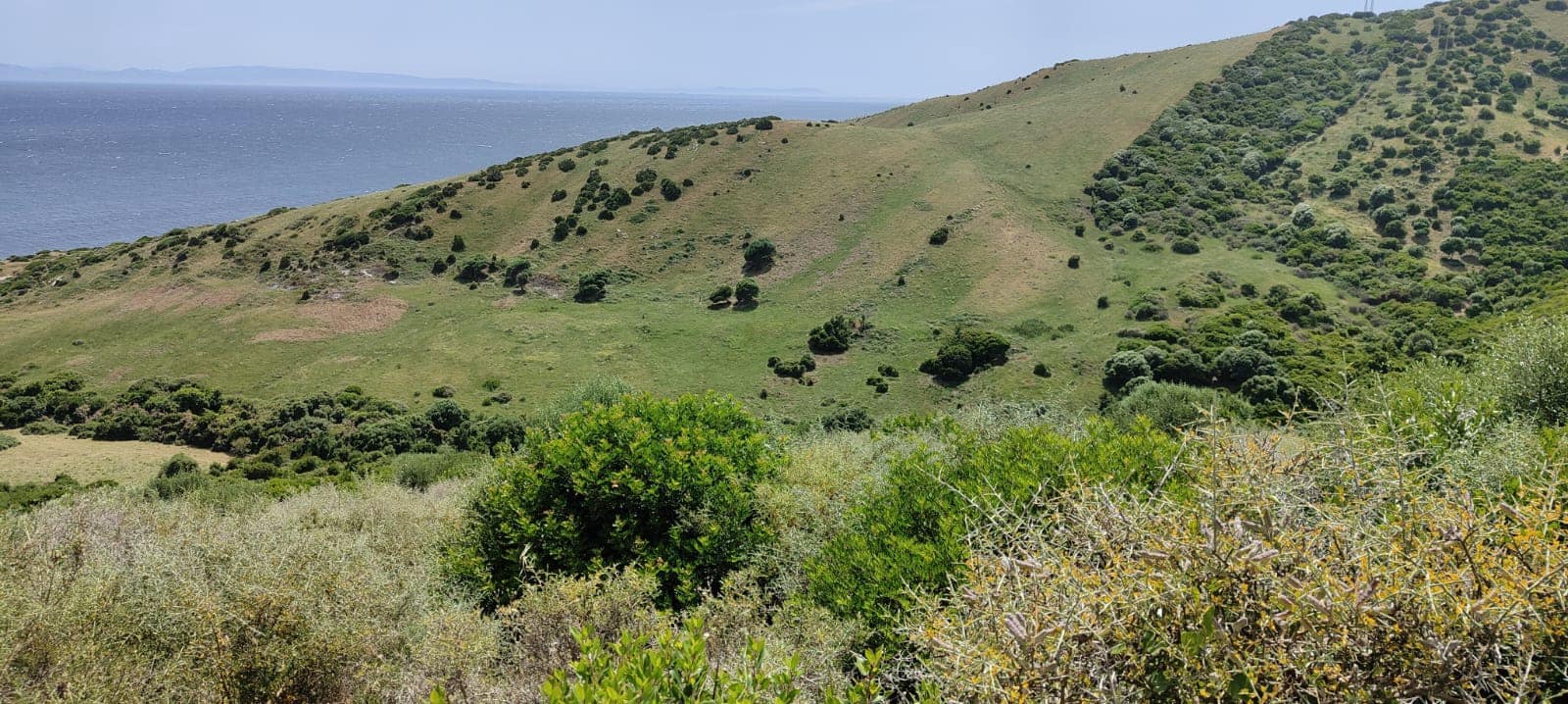 Undeveloped Land for sale in Tarifa - € 600,000 (Ref: 9932372)