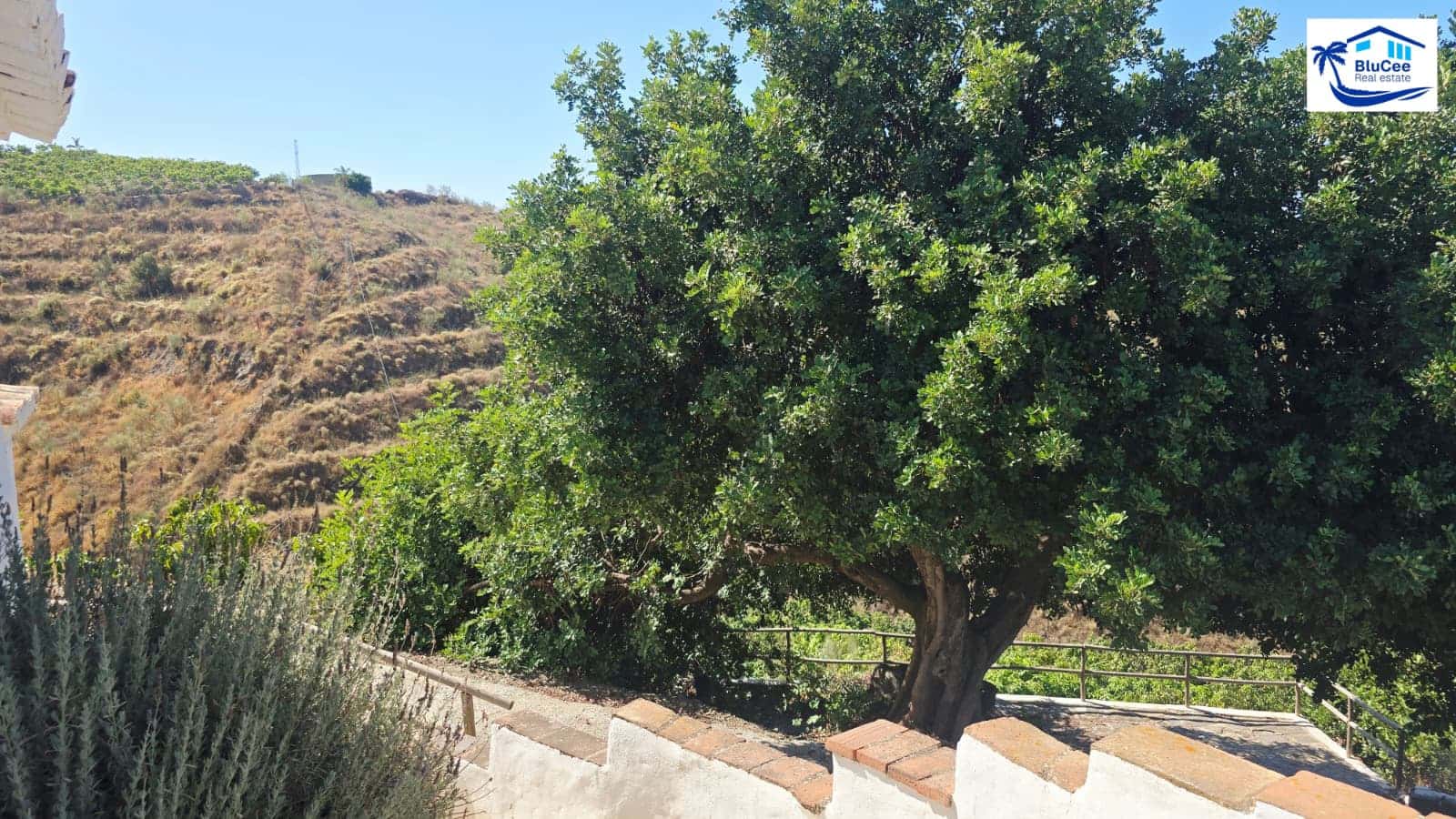 2 Zimmer Finca/Landgut zu verkaufen in Velez-Malaga mit Pool Garage - 245.000 € (Ref: 10004451)