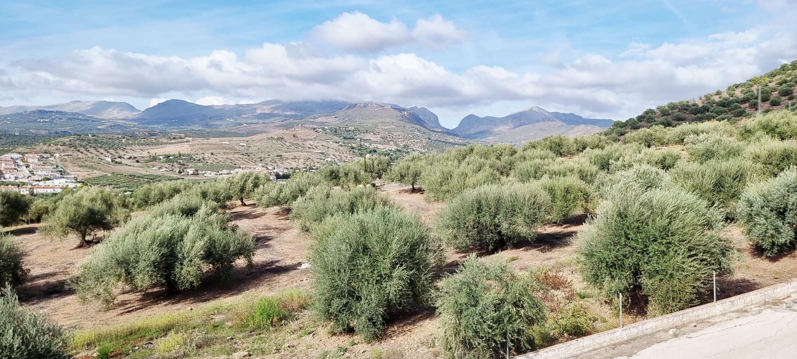 4 quarto Moradia para venda em Alcaucin com piscina garagem - 325 000 € (Ref: 10181666)