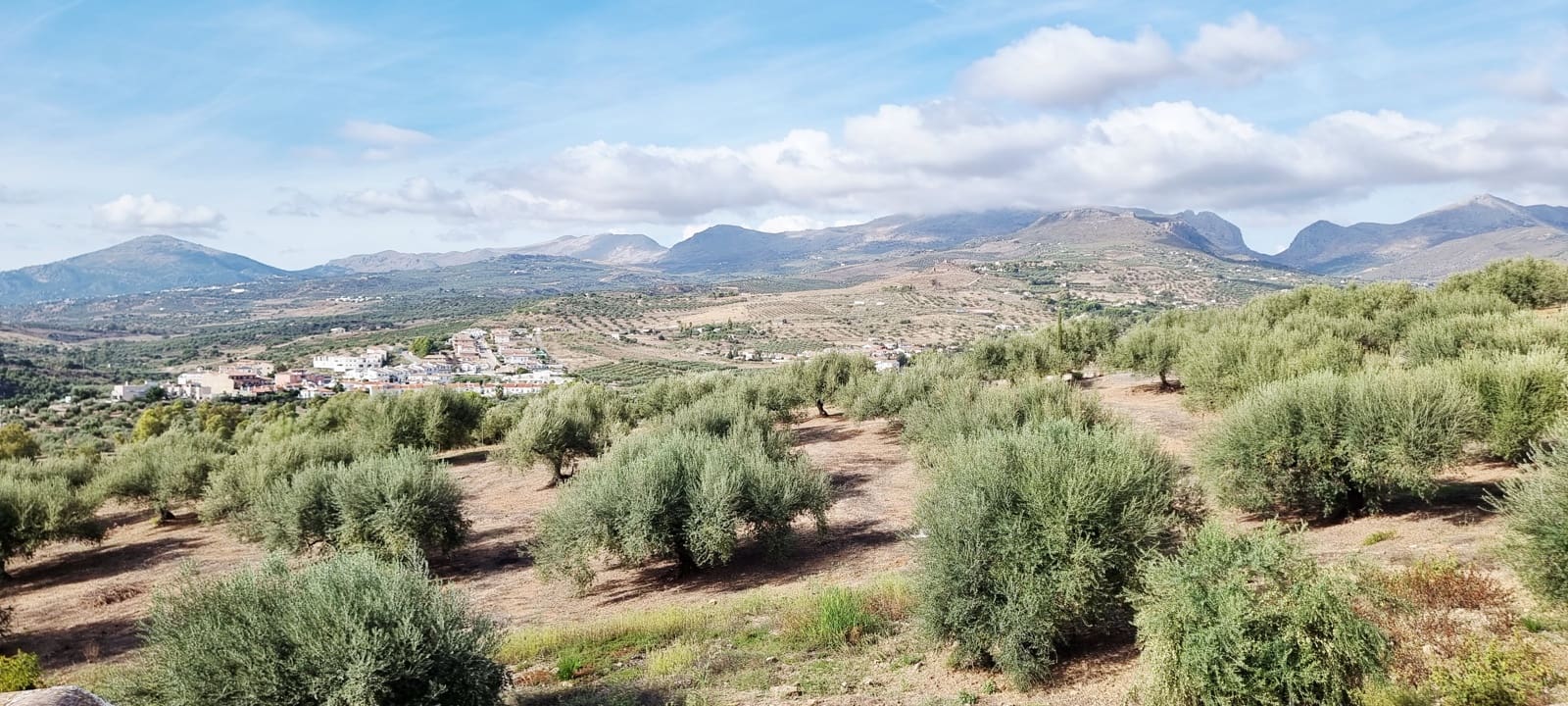 4 quarto Moradia para venda em Alcaucin com piscina garagem - 325 000 € (Ref: 10181666)