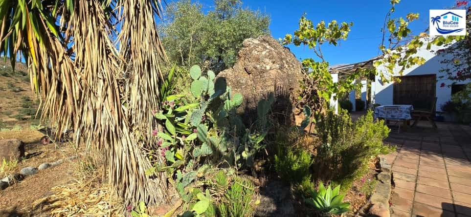 2 sypialnia Finka/Dom wiejski na sprzedaż w Riogordo - 345 000 € (Ref: 9301470)