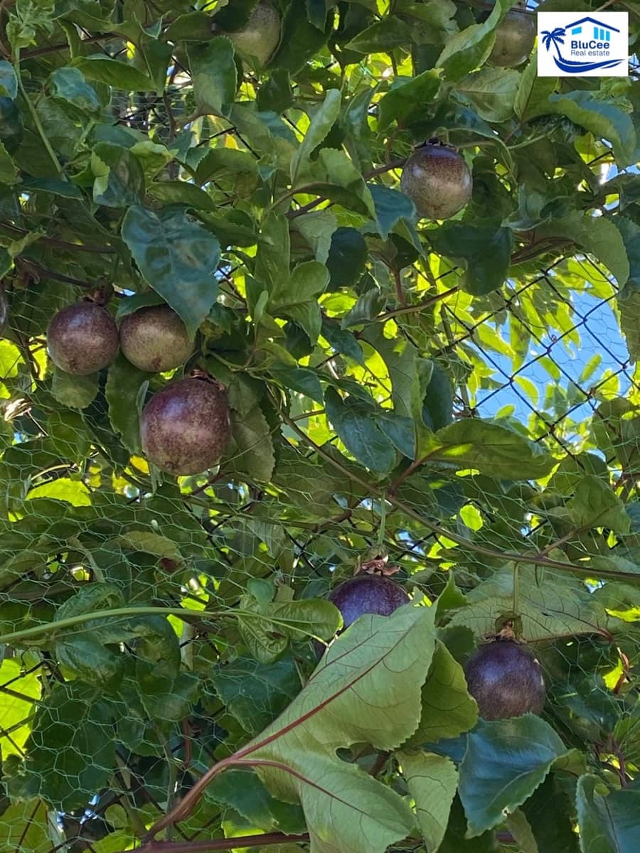 3 sypialnia Finka/Dom wiejski na sprzedaż w Velez-Malaga z garażem - 1 150 000 € (Ref: 9541876)